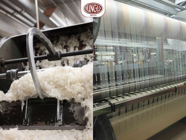 Sợi cotton và sợi tơ tằm đều trải qua quá trình làm sạch kỹ lưỡng